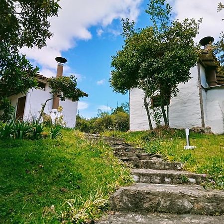 Jardin Colibri Rnt 33633 Βίλα Guatavita Εξωτερικό φωτογραφία