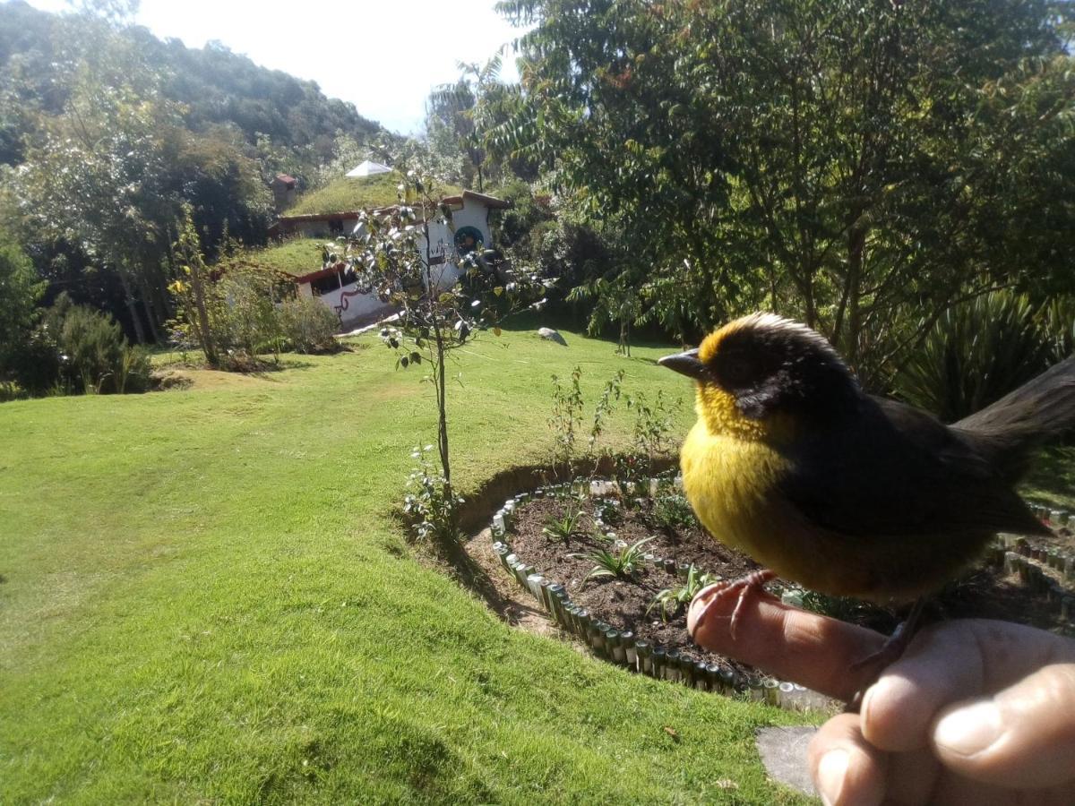 Jardin Colibri Rnt 33633 Βίλα Guatavita Εξωτερικό φωτογραφία