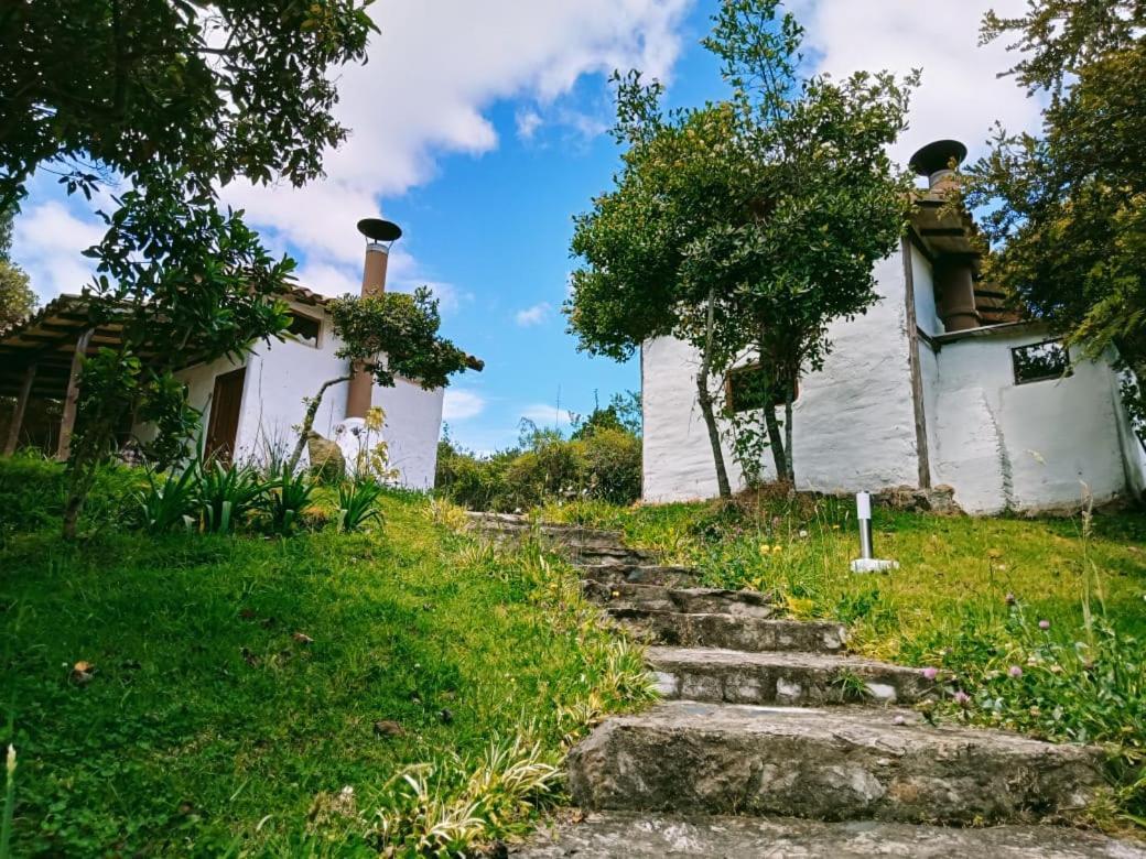 Jardin Colibri Rnt 33633 Βίλα Guatavita Εξωτερικό φωτογραφία