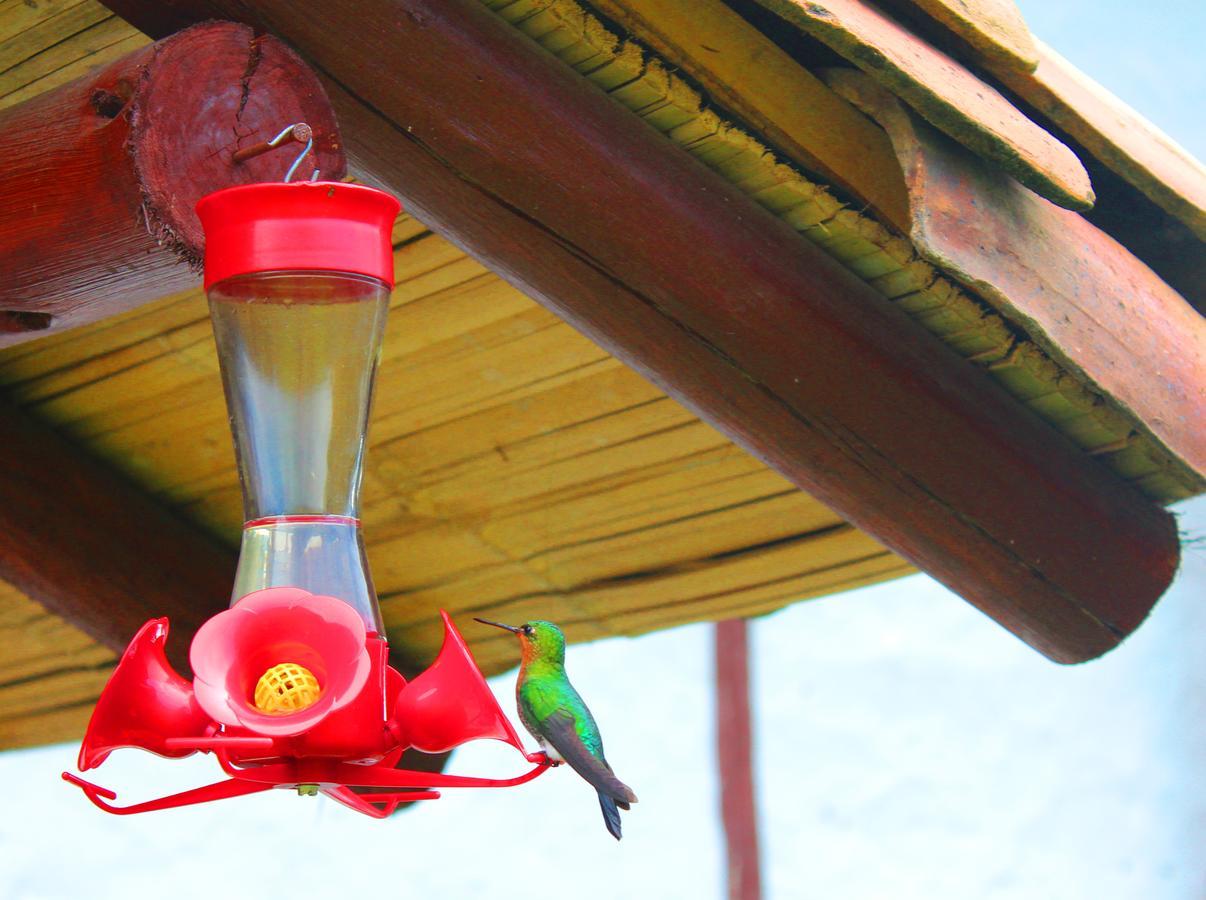 Jardin Colibri Rnt 33633 Βίλα Guatavita Εξωτερικό φωτογραφία