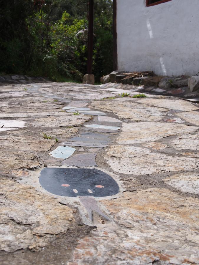 Jardin Colibri Rnt 33633 Βίλα Guatavita Εξωτερικό φωτογραφία